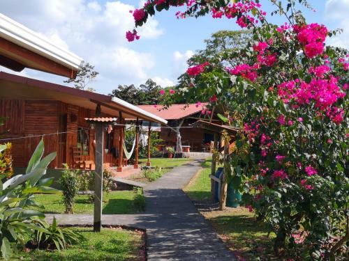 T�o Felix Eco Lodge