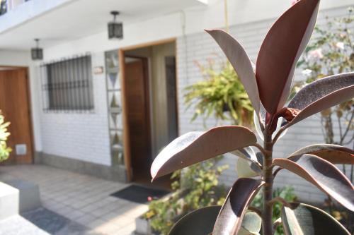 Casa Skyways B&B