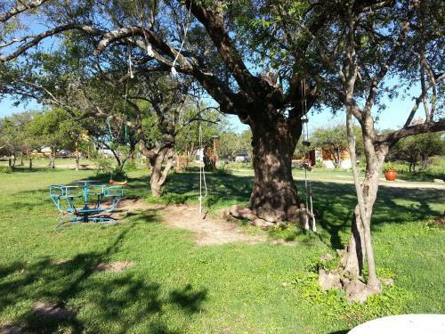 Alto De Balc�n