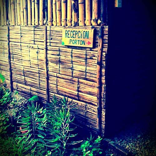 The Mudhouse Hostel