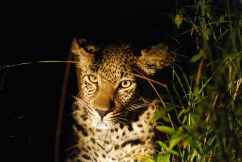 Lodge 57 Waterberg