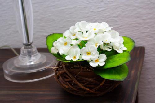 Posada Pousada Minha Gl�ria