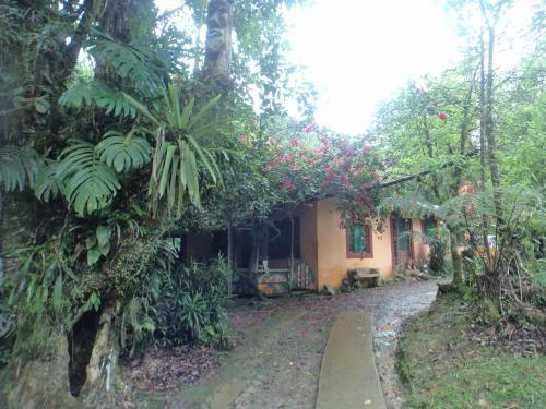 Hostal Pousada Cabanas Do Curupira