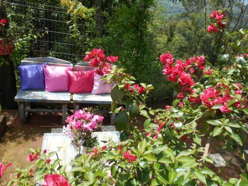 Hostal La Petite France