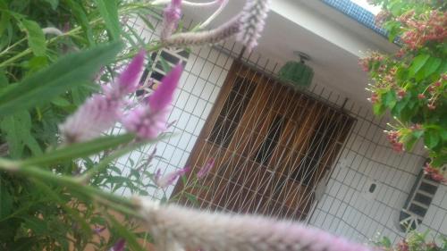 Praieiro Hostel Albergue