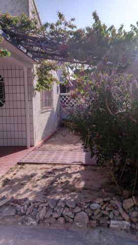Praieiro Hostel Albergue