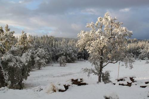 Bed & Breakfast Red Tail Ranch