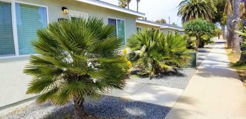Sunset Cliffs Beach Cottage