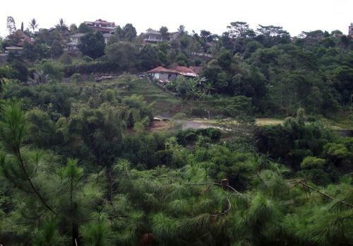 Villa Mawar Syariah