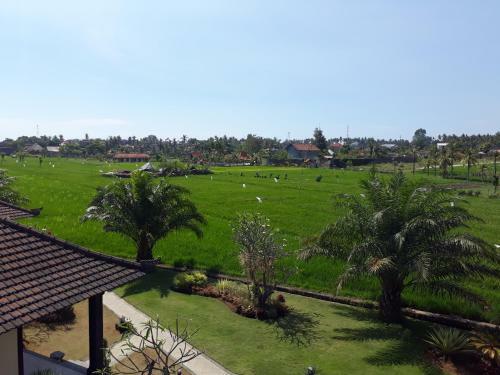 Pandawa Village