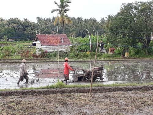 Pandawa Village