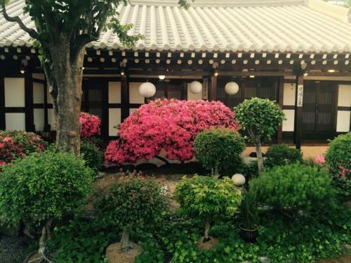 Hostal Taejomaru
