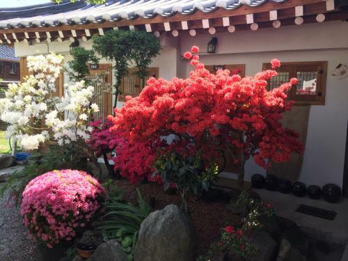 Hostal Taejomaru