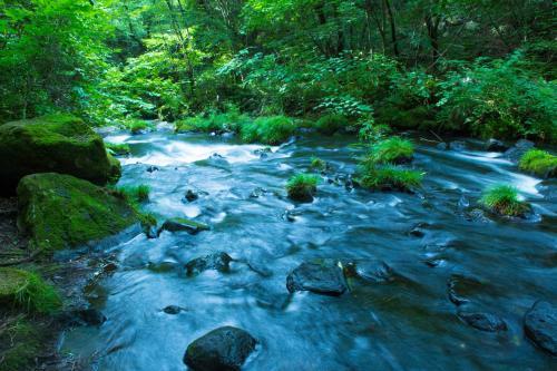 Tateshina Onsen Hotel Shinyu