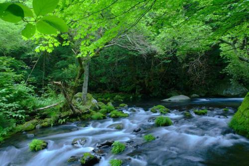 Tateshina Onsen Hotel Shinyu