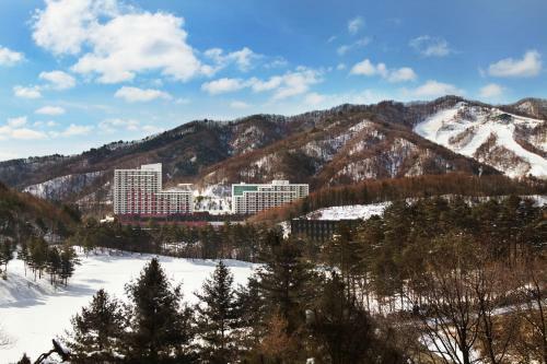 Hotel Hanwha Resort Phoenix Park