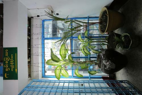 Hostal Chan Myae Thar Guest House