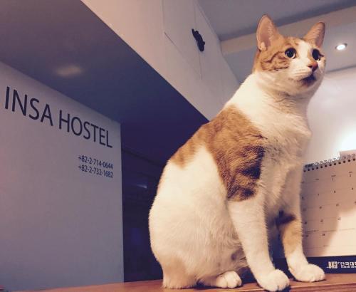 Insadong Hostel