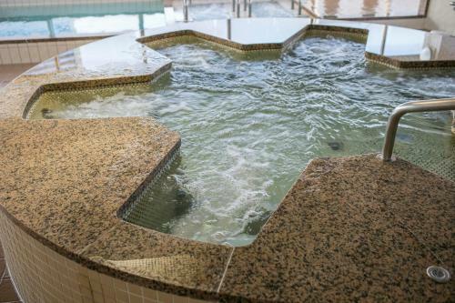 Ark Hotel Hiroshimaeki Minami