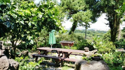 Dreaming Forest Seogwipo