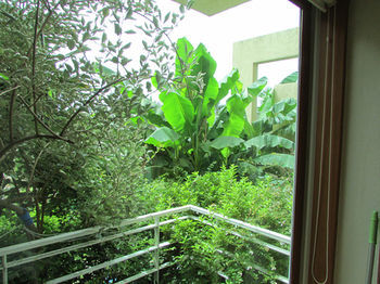 Palm Hill Pension