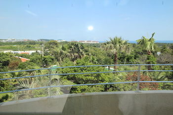 Palm Hill Pension