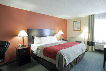 Hotel Comfort Inn (cedar Park)