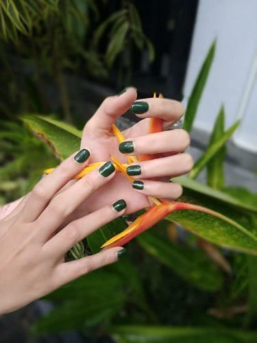 The Radiant Hotel & Spa