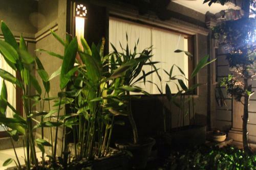 Letos Kubu 1