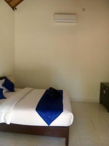 Hostal Coconut Village Guest House