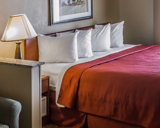 Hotel Comfort Inn South