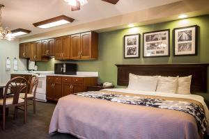 Hotel Sleep Inn (sumter)