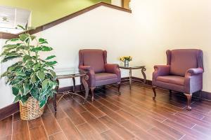 Hotel Sleep Inn (columbia)