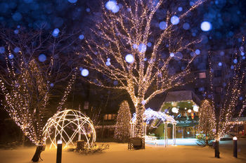 Kusatsu Now Resort Hotel