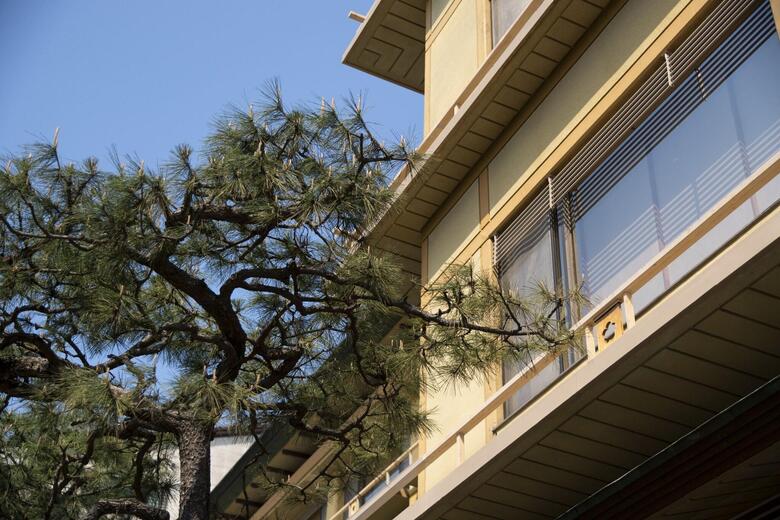 Hotel Miya Rikyu