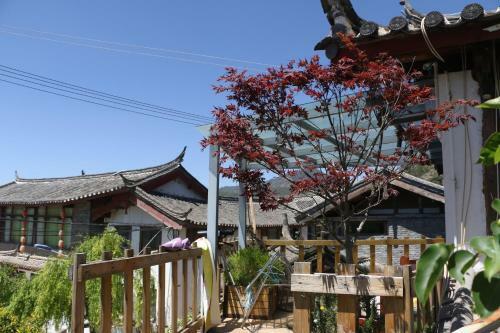 Hostal Qingyun Yard Stories From Afar Inn