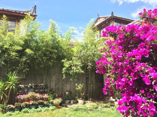 Posada Lijiang Shuhe Qingtao Inn