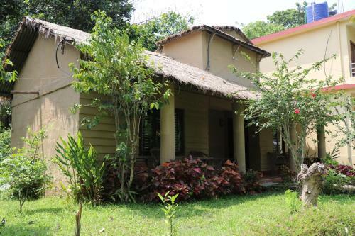 Hotel Jungle Resort