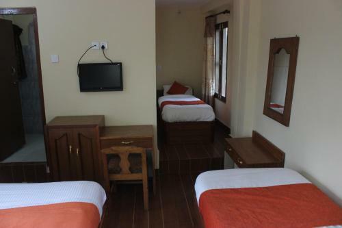 Lodge Jungle Wildlife Camp