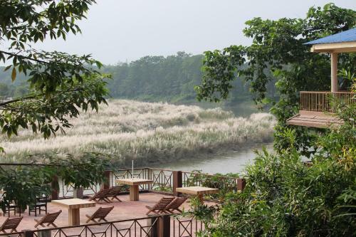 Lodge Jungle Wildlife Camp