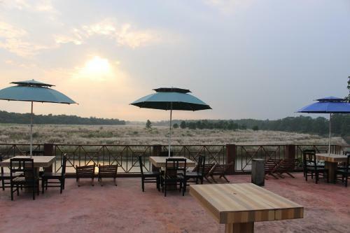Lodge Jungle Wildlife Camp