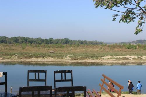 Lodge Jungle Wildlife Camp