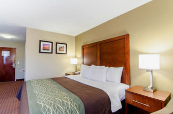 Hotel Comfort Inn (apex)