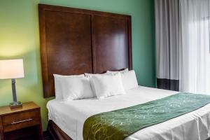 Hotel Comfort Suites (leesburg)
