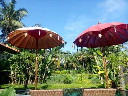 Kakul Villa Ubud