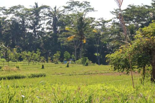 Hostal Pesantian Villa Pejeng Ubud