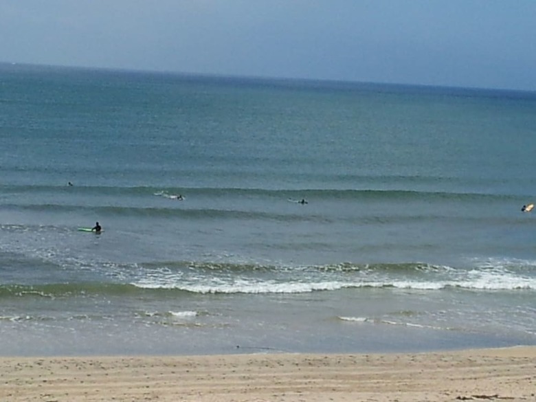 Posada Flying Sumo Surf Company