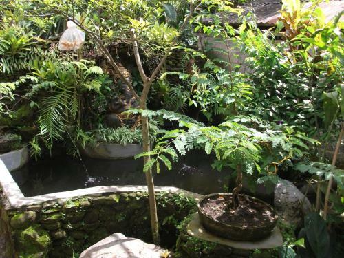 Arsa Homestay & Spa