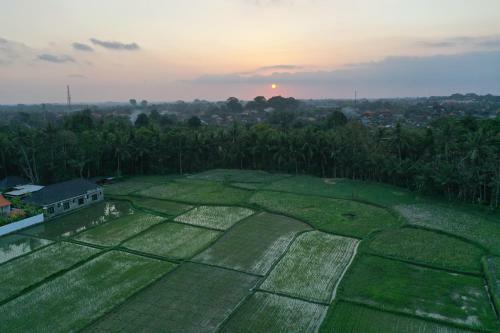 Hostal Sila Urip Guest House