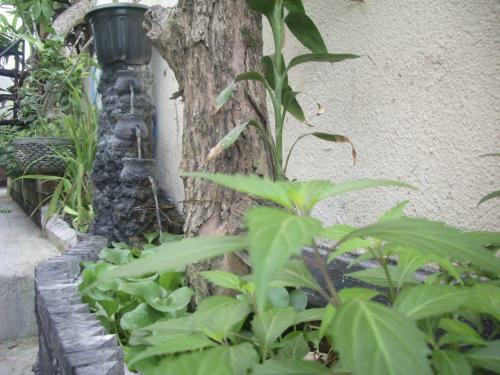 Hotel Gusti Homestay Kerobokan